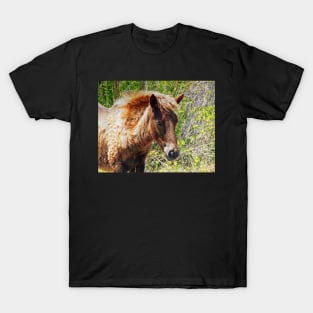 Portrait of an Assateague Pony Foal T-Shirt